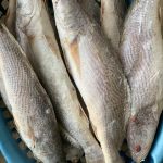 WhatsApp Image 2024-10-18 at 11.38.23