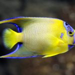 Site Musée de la mer Nov 2011